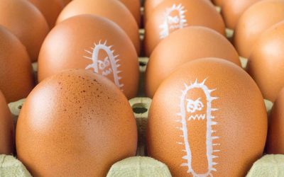 Do I need to worry about Salmonella in eggs?