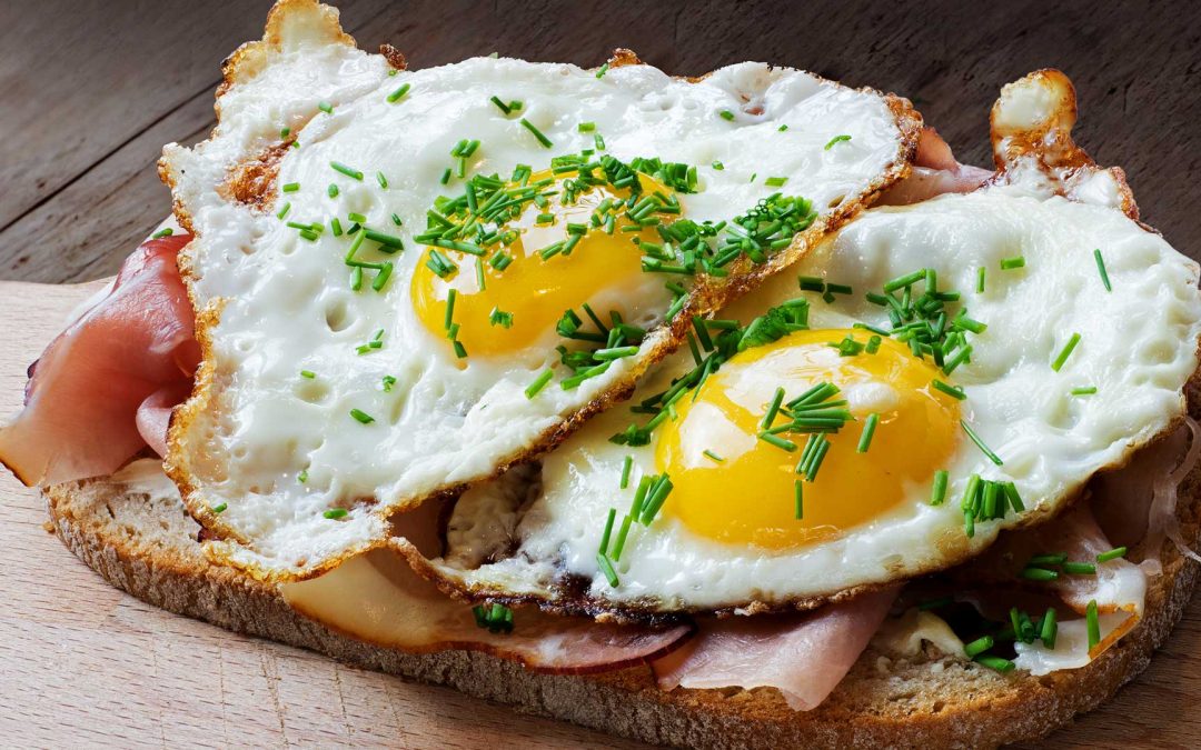 FUN Fact:  If you ever wondered, the yolk and the whites of eggs have the same amount of protein
