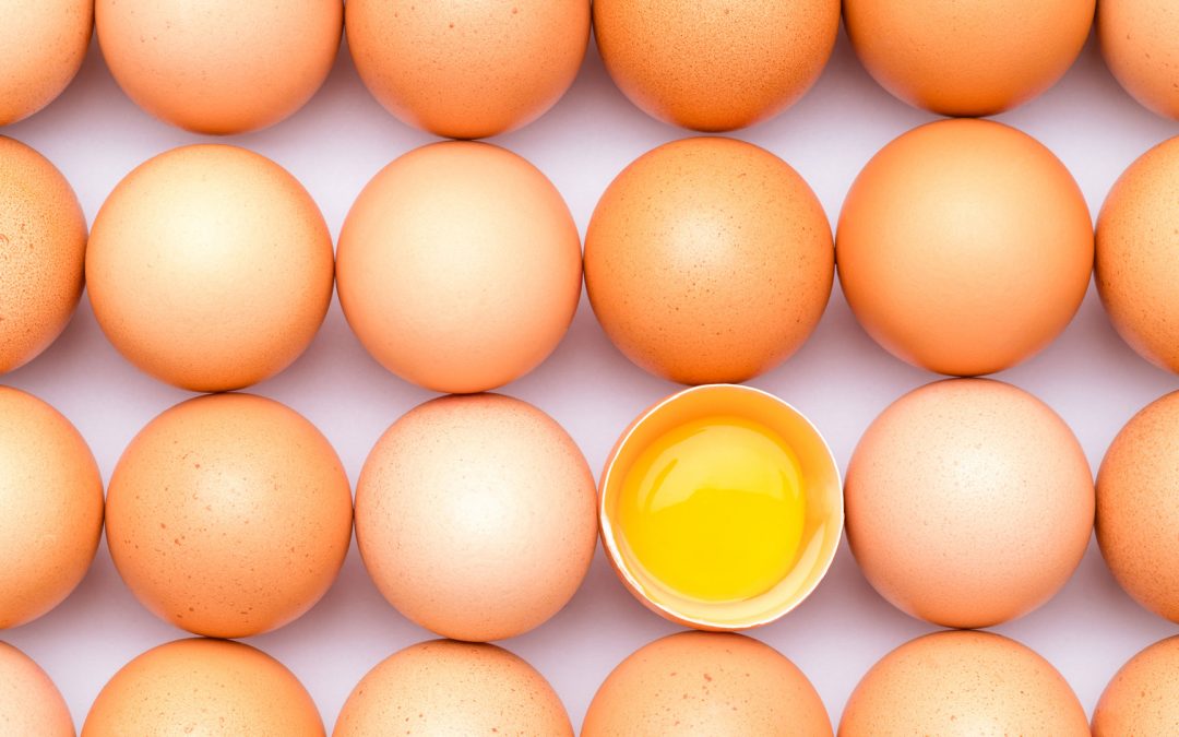Safely store eggs at home