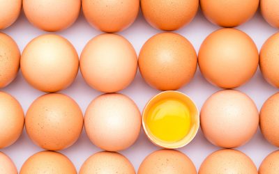 Safely store eggs at home