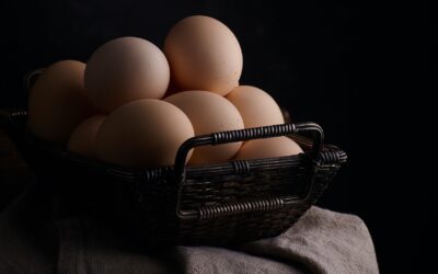A bit of egg history