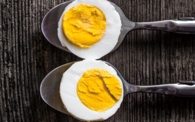 Cholesterol and Eggs