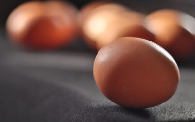 Eggs Good for Babies Brain Development, New Guidelines State