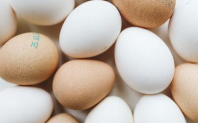 Myths About Eggs You Might Still Believe