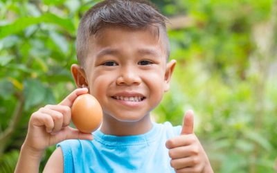 In Celebration of World Egg Day