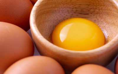 Why Egg Yolks are Important for our Health