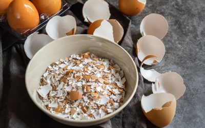 Uses for eggshells