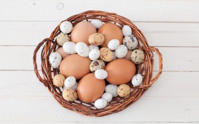 The Fascinating Geometry of Egg Shapes