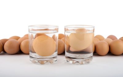 The Science of Egg Freshness