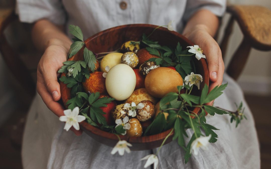 The Dawn of a Delightful Era: Welcoming the New Egg Season