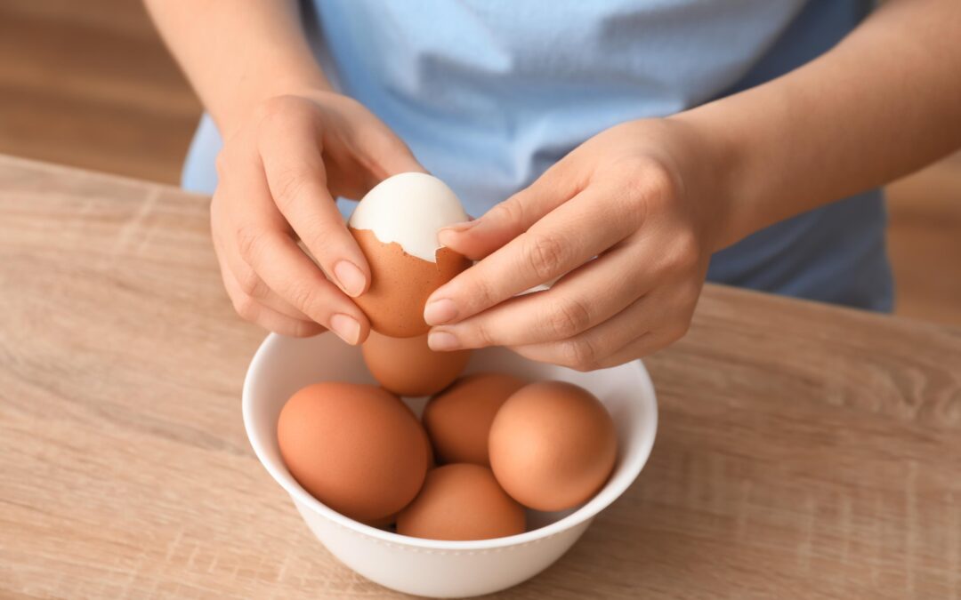 Why Do Eggs Have a Shell?