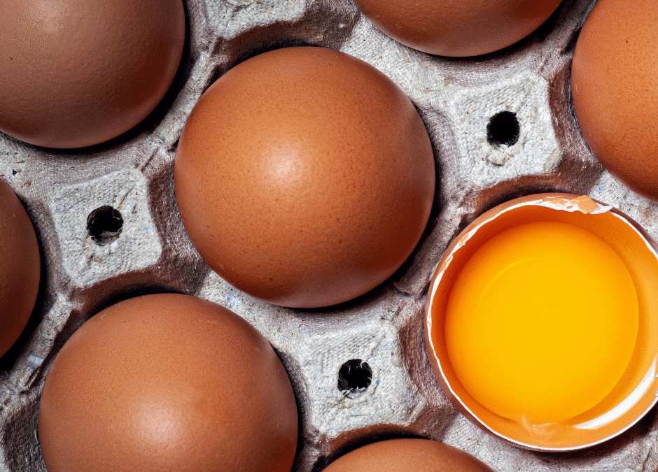 Cracks, Blemishes, and Imperfections in Egg Quality