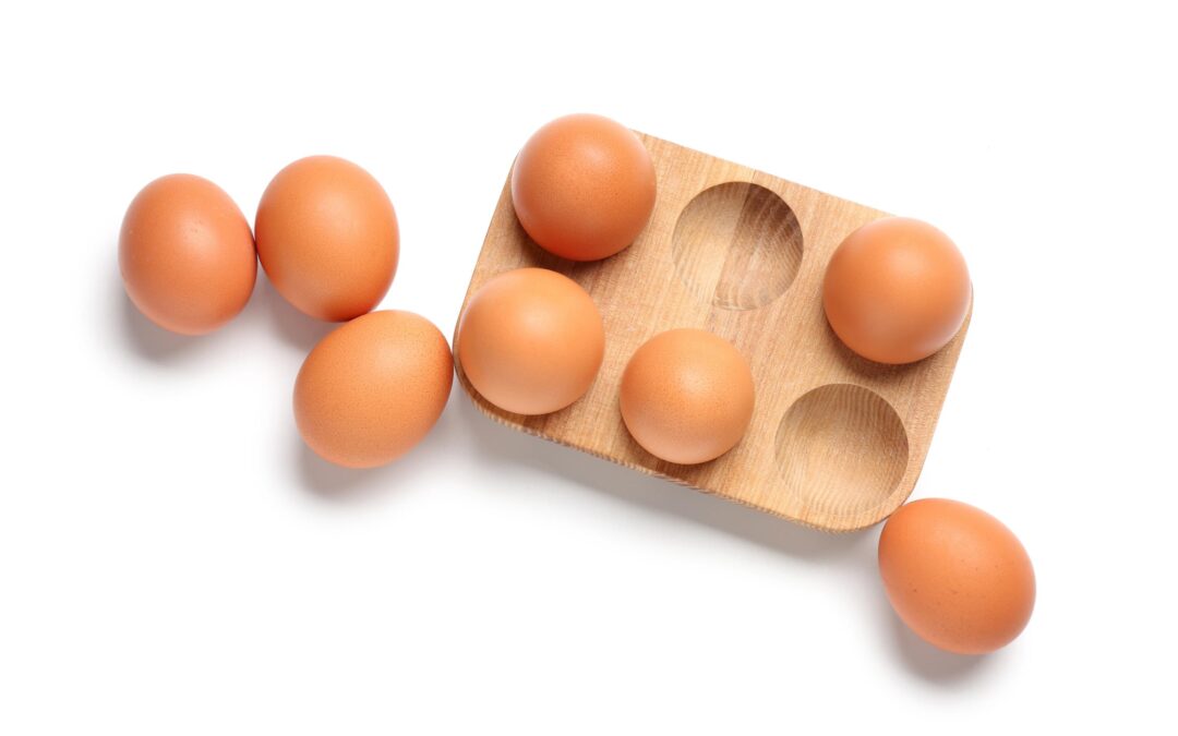 Eggshells That Can Breathe: Nature’s Ingenious Design