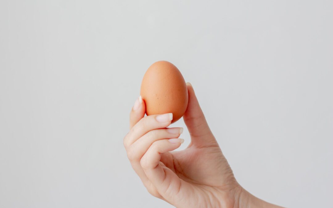 How Egg Shape Affects Strength