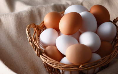 Brown vs. White Eggs: Does Shell Colour Actually Matter?