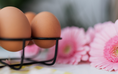 Spring Eggs – A Fresh Start with Every Meal