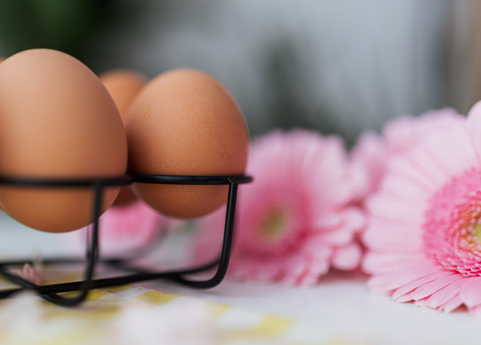 Spring Eggs – A Fresh Start with Every Meal